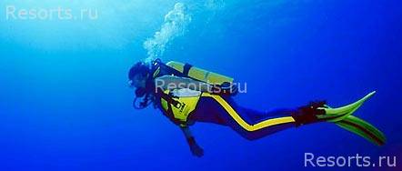 Panglao Island Nature Resort 14
